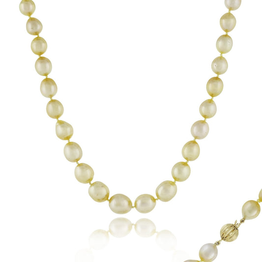Golden South Sea Necklace