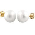 Load image into Gallery viewer, Decadent White 10mm Pearl Studs
